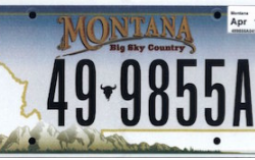 United States License Plates